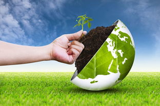 環境工程、環境生態工程與生態環境材料銷售 區別與關聯