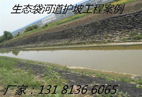 廠家直銷生態(tài)袋 構(gòu)筑綠色屏障，護航高速路護坡工程